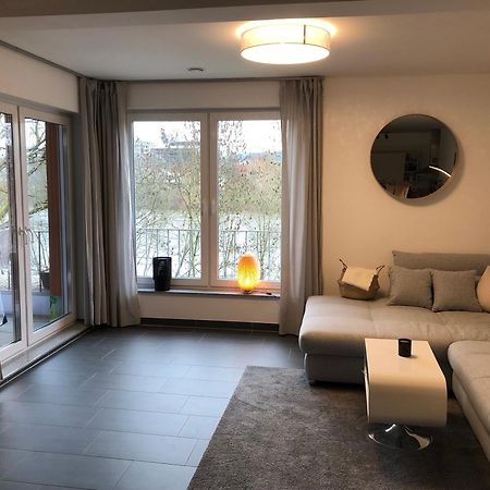 Schickes Apartment Mit Moselblick Трір Екстер'єр фото