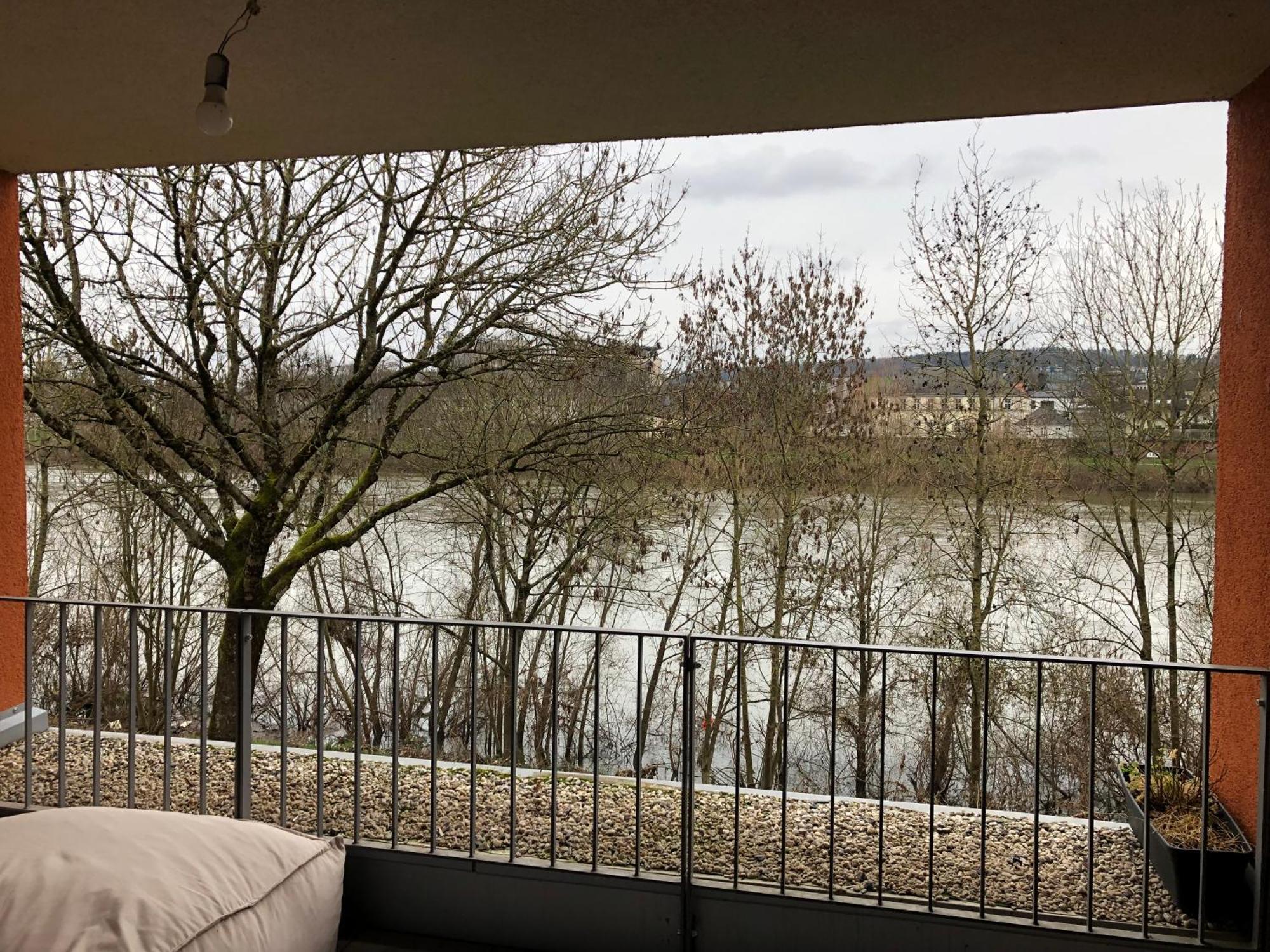 Schickes Apartment Mit Moselblick Трір Екстер'єр фото
